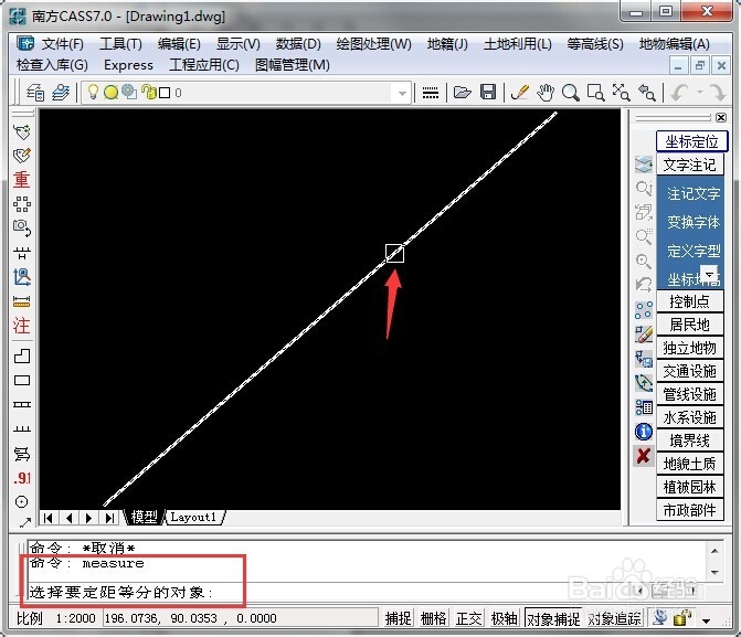 CASS中每隔10米提取坐标
