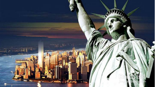 怎样办理赴美生子延期？需要什么手续？