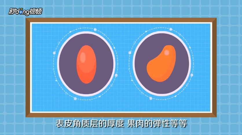 红枣为何会开裂