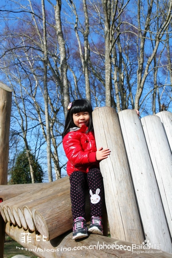 温哥华百万木头公园