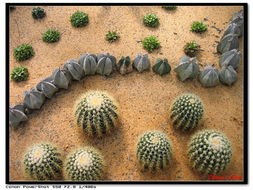 沙漠求生记攻略