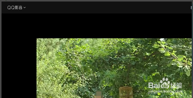 QQ影音如何设置本地文件默认用qq影音打开