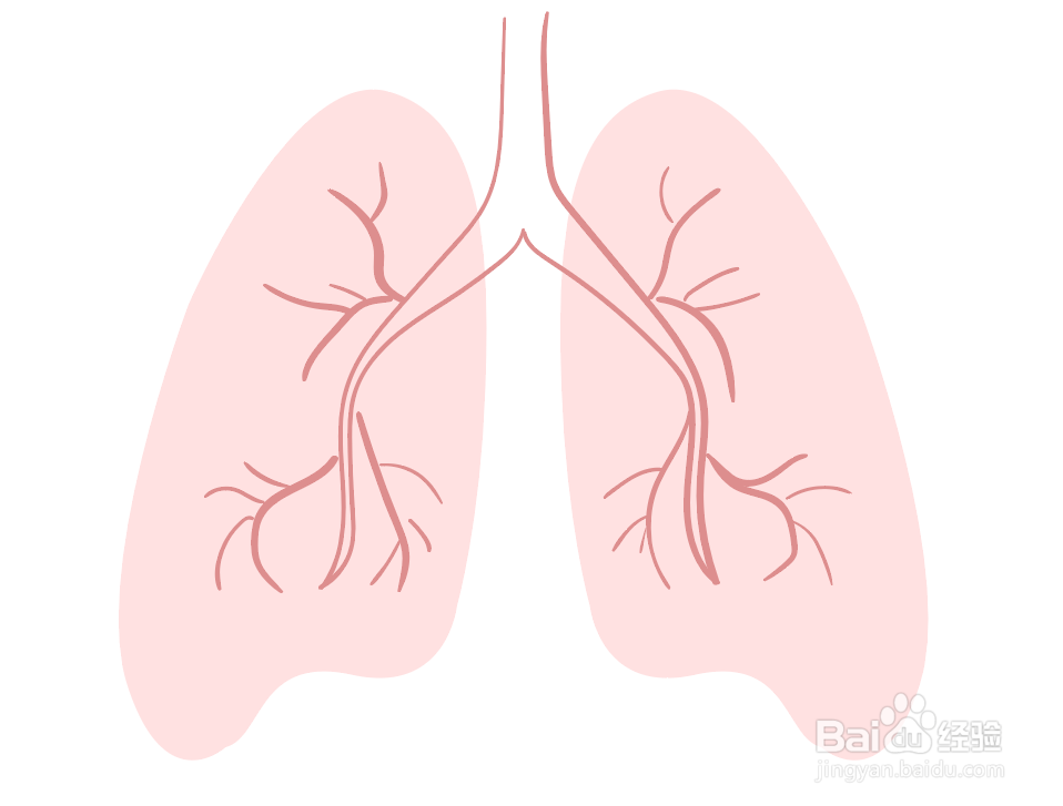 关于肺炎的手抄报