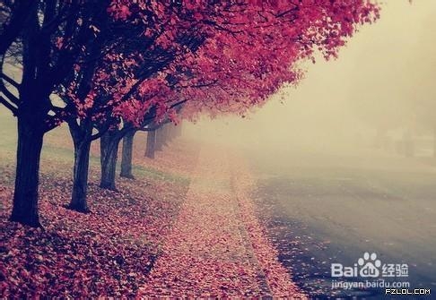 恋爱宝典:男性第一次相亲的注意事项