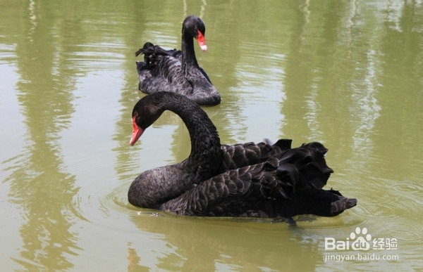 北京旅游攻略：[22]海淀公园