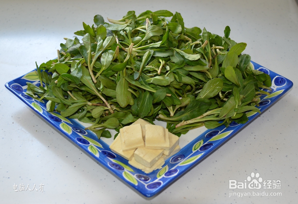 系列美食：[67]马兰头拌香干