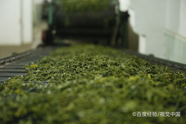 蒲公英加工方法