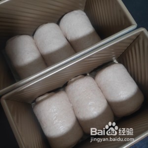 全麦土司的做法