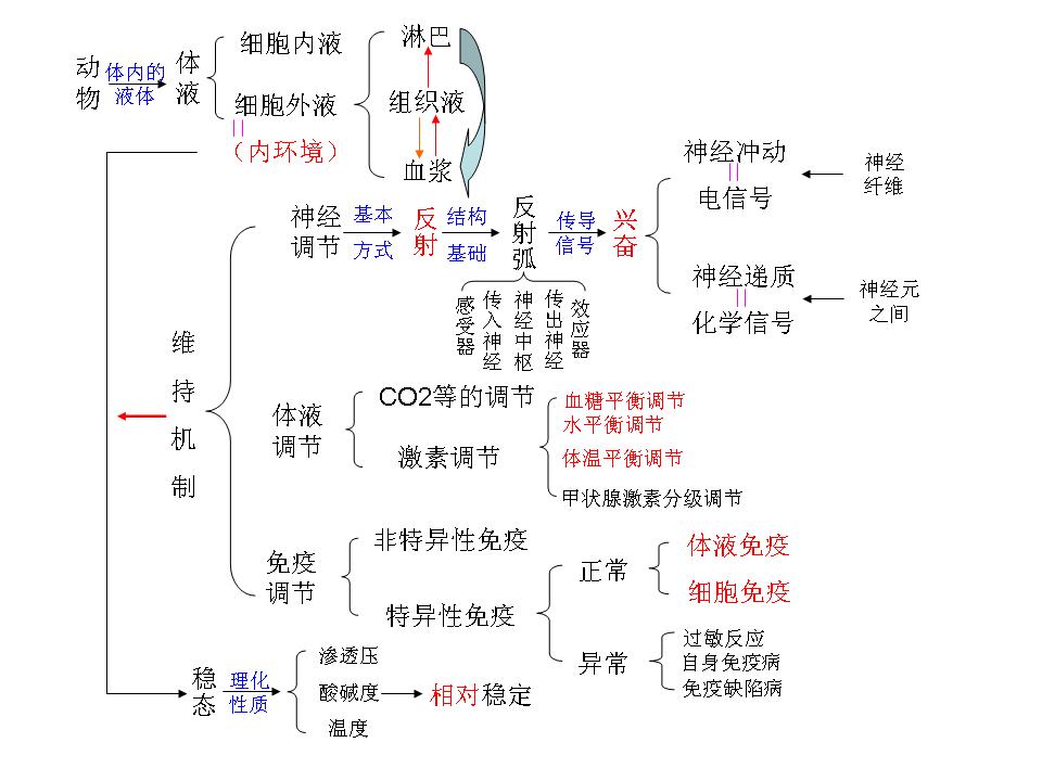 脑脊液属于内环境吗具体解释一下。