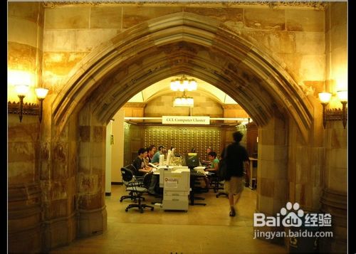 什么性格的人更适合到美国去打拼