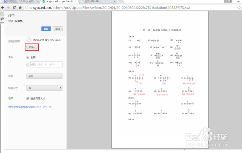 100 Chrome Swf 保存