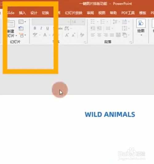 ppt中如何一键排版图片.
