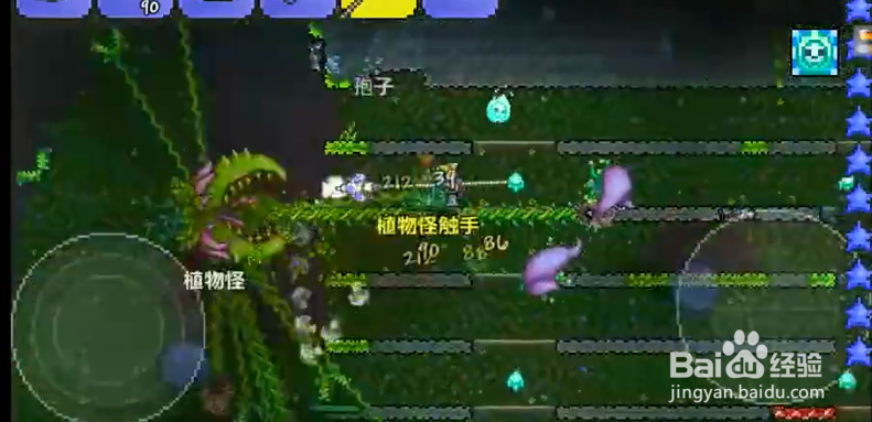 种子弯刀怎么获得