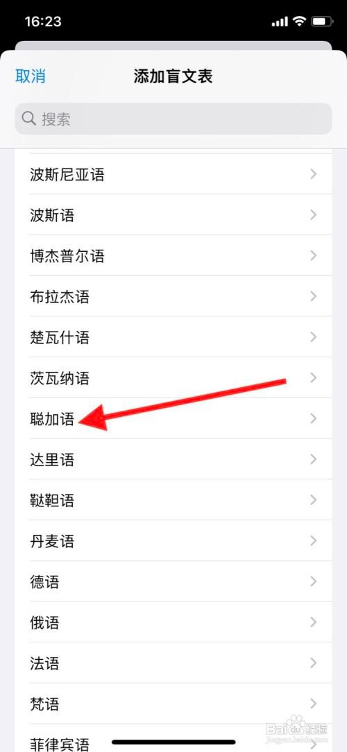 iPhone旁白怎样增加“聪加语”盲文表