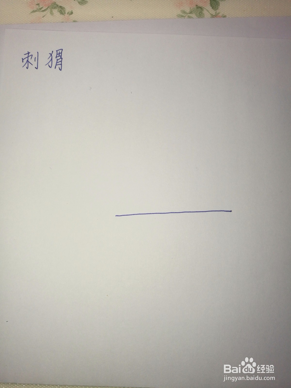刺猬的简笔画怎么画