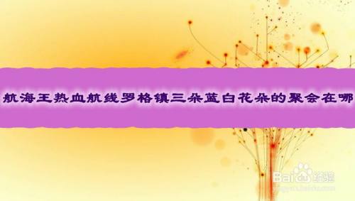航海王热血航线罗格镇三朵蓝白花朵的聚会在哪