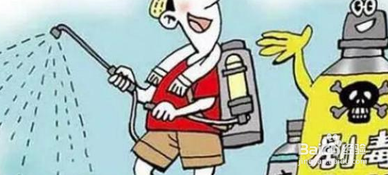 水果替代主食食用会有哪些危害？