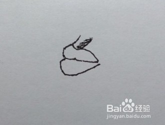 如何画嘴唇（侧面）一步一步教你画嘴唇