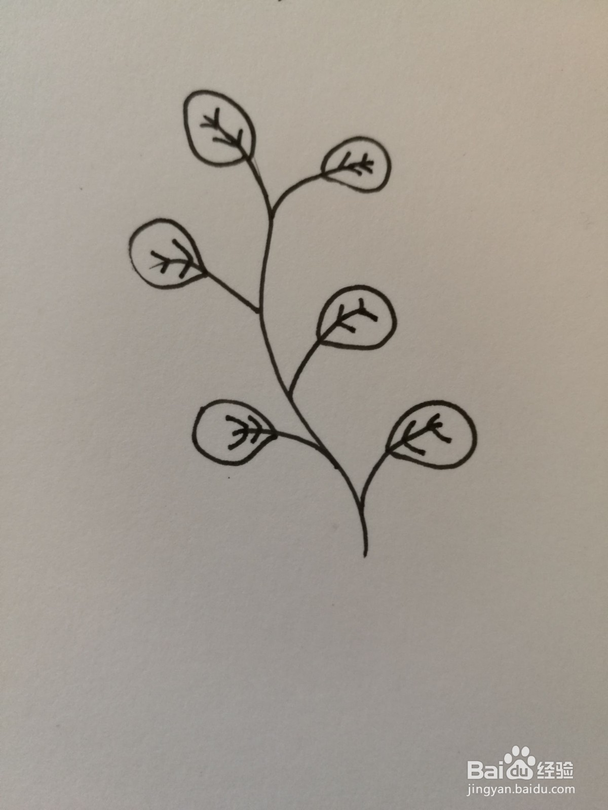 小草简笔画之画法九