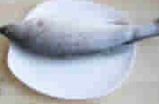 怎么做好清蒸鲈鱼