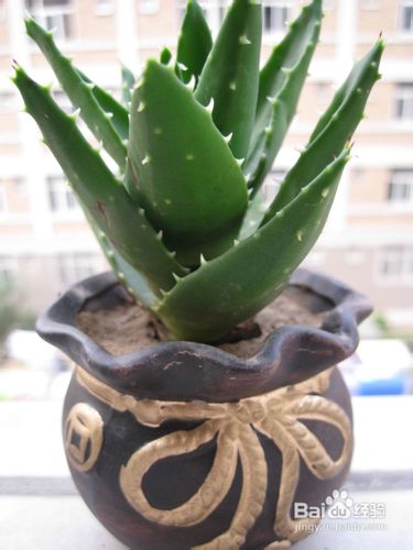 装修后如何除甲醛,装修除甲醛最好方法