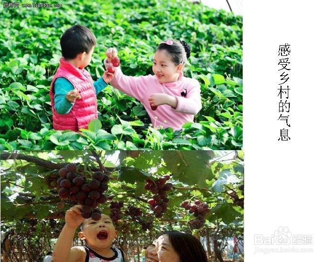 寒假亲子游全攻略
