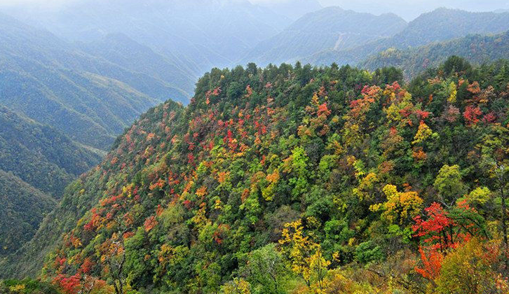 中国的巴山在哪