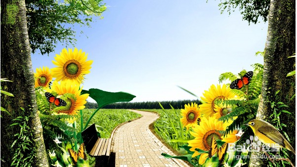 那些情况不适宜戴隐形眼镜