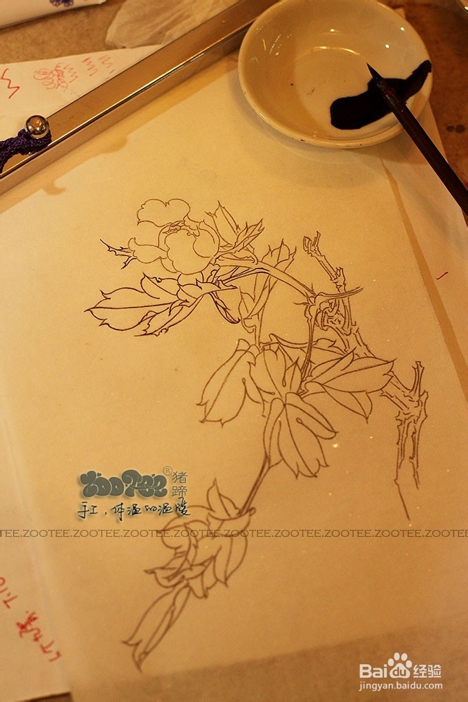 国画工笔花卉技法，起稿上色步骤图以及笔的选择