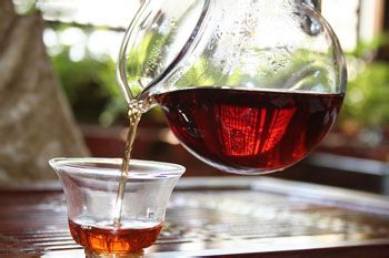 为你介绍几种便捷的饮茶方式