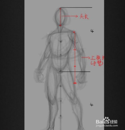 原画中男性手臂怎么画 百度经验