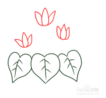 如何简单地画仙客来