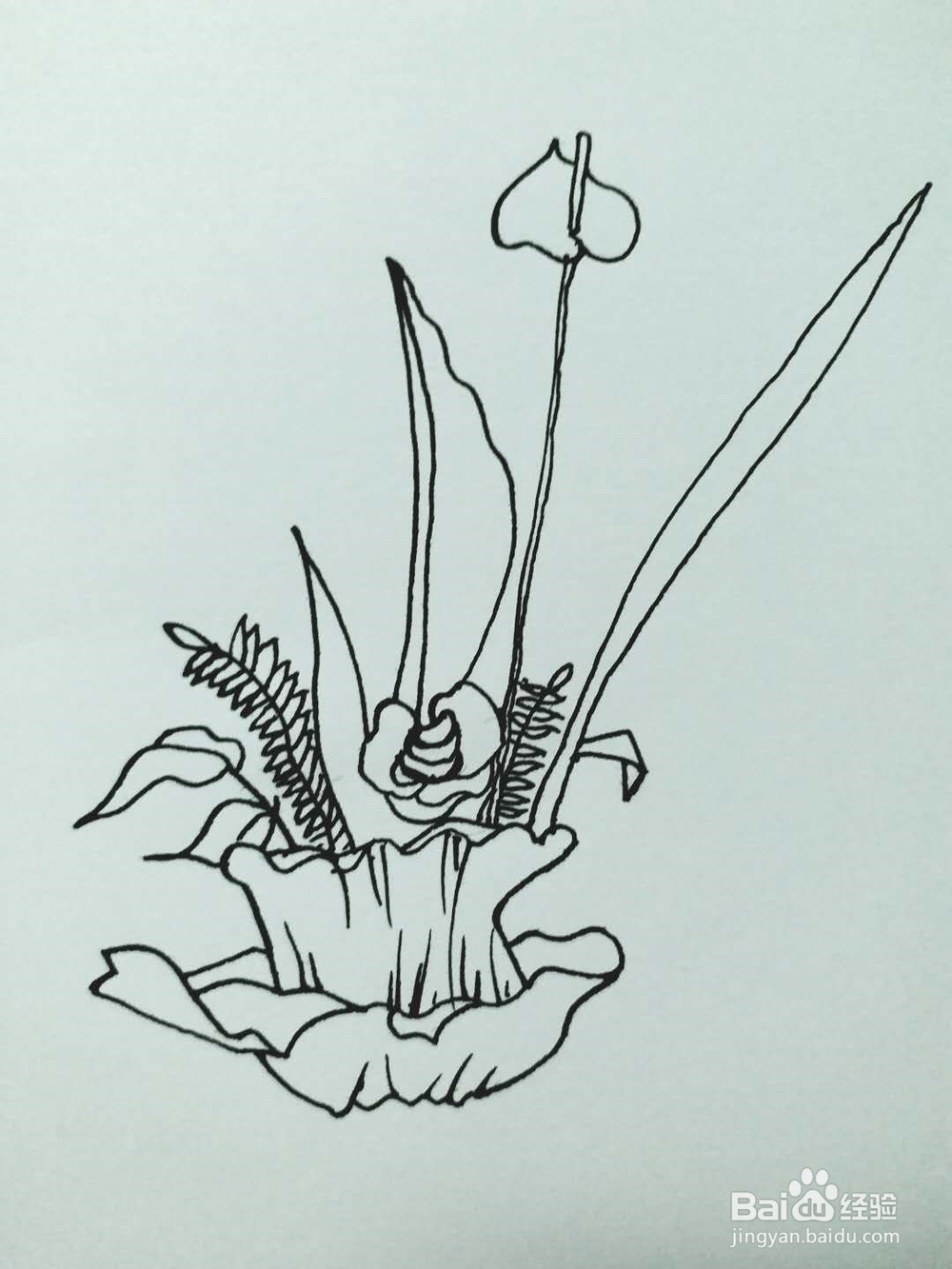 盆景的简笔画法1