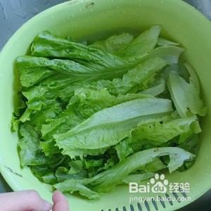 蚝油生菜的美味做法