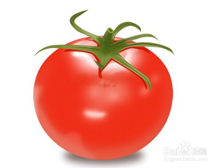 <b>西红柿怎么吃对皮肤最好</b>