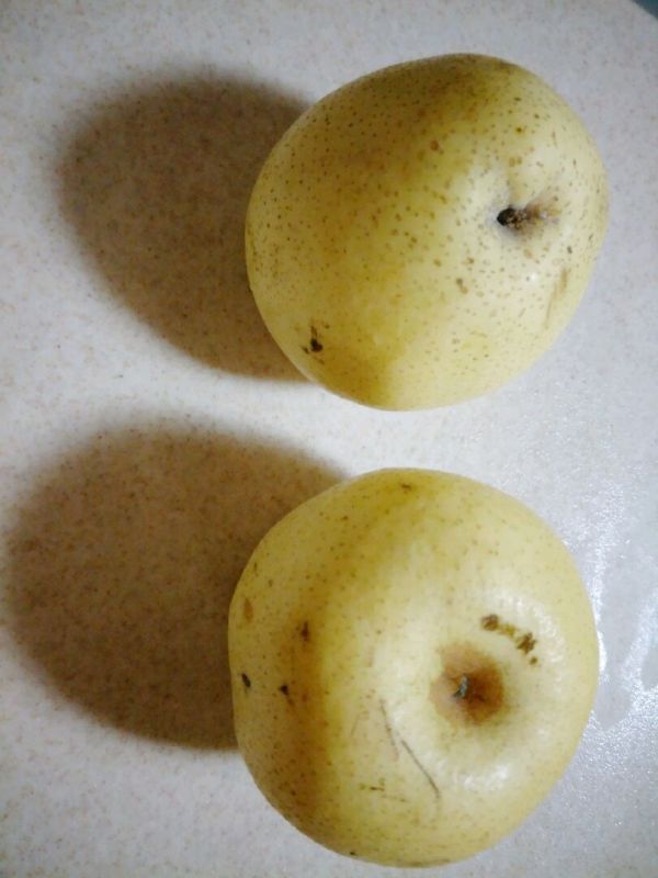 冰糖雪梨柠檬棒棒糖