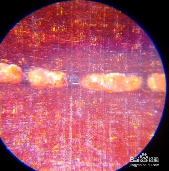 小叶紫檀真假金星鉴定