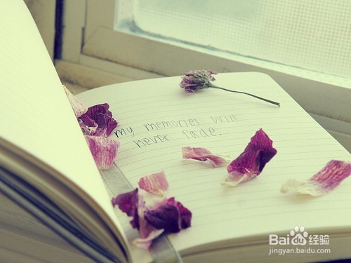 怎样做读书笔记