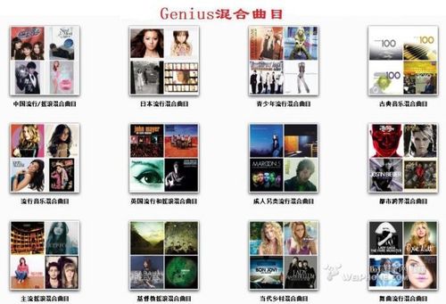 怎样使用Genius