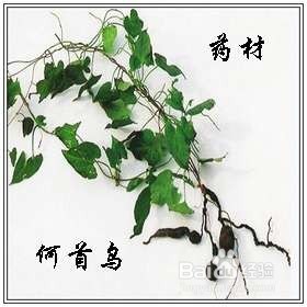 小偏方治大病——冠心病