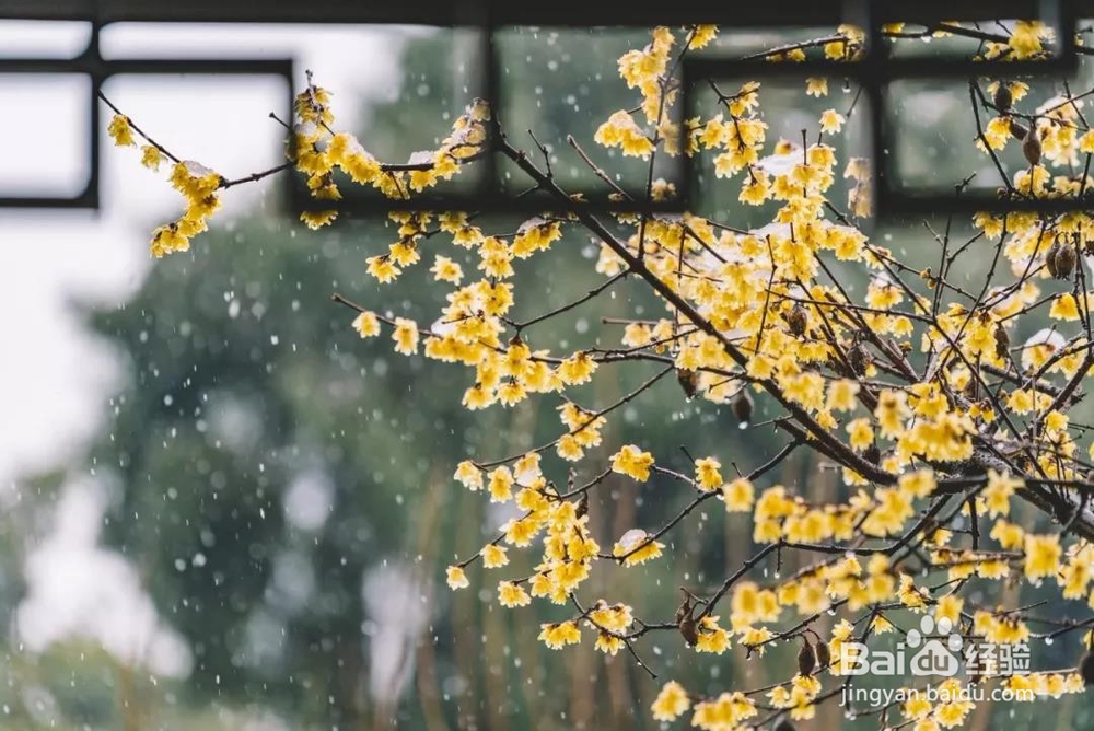 立冬——天气冷了给家人多一点“艾”