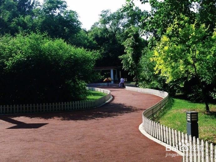 如何在夏天玩转哈尔滨的经典景点