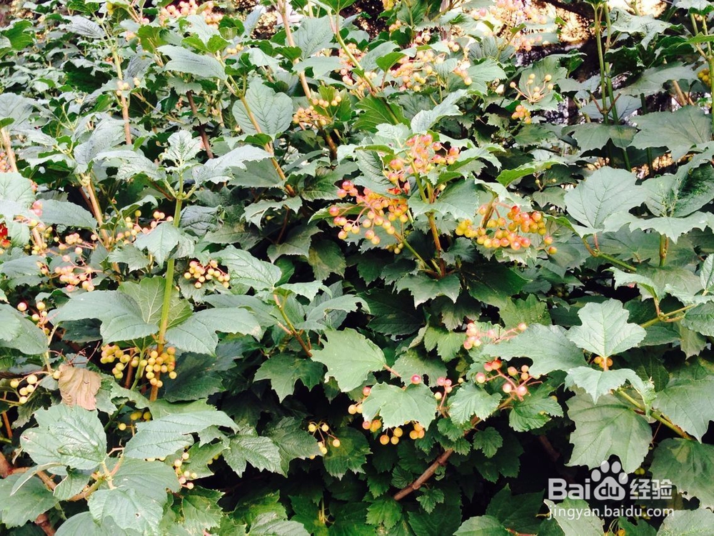 如果你的朋友虚荣心很强怎么办呢?