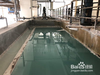 如何选择污水脱氮菌种,增加总氮去除效率?