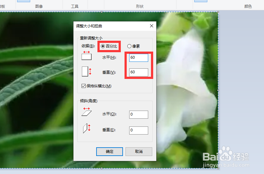 怎么利用Win10画图工具调整图片的尺寸