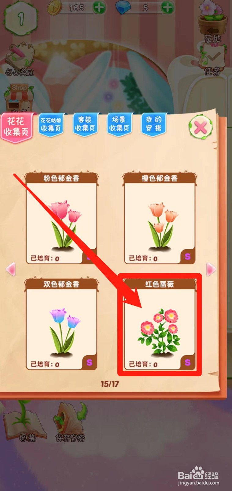 花花姑娘之魔法花园如何查看红色蔷薇简介