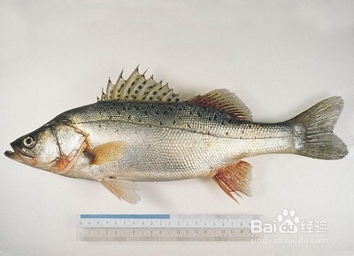 吃出健康的肾,让生活更加美好