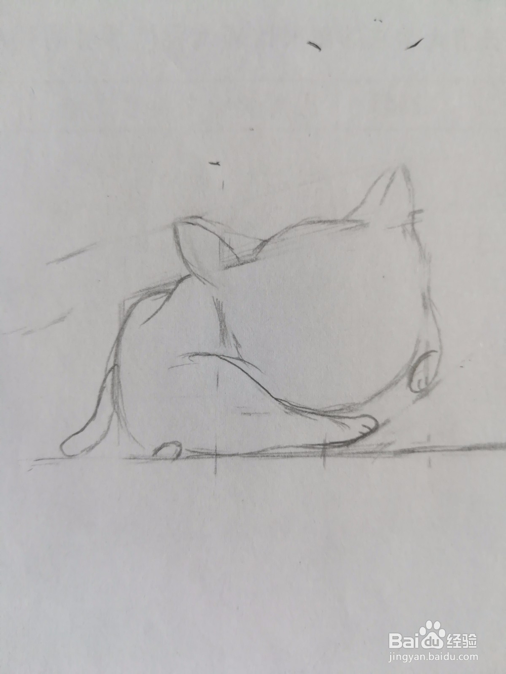 傲娇的小猫画法教程（2）——成型