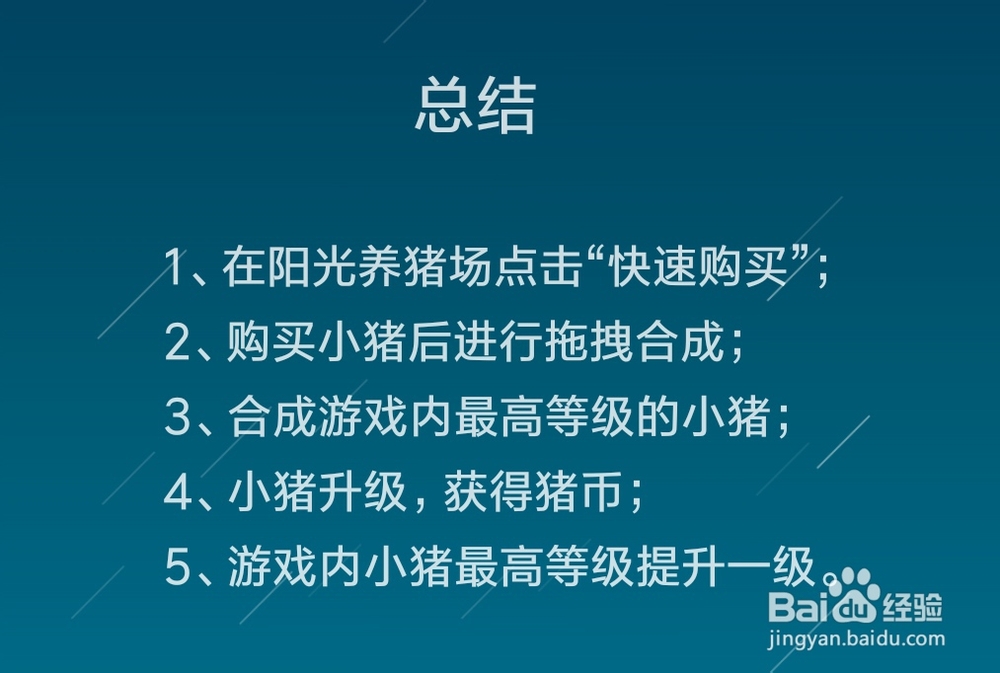 阳光养猪场怎么合成猪赚取猪币