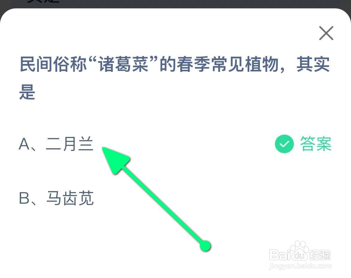 民间俗称“诸葛菜”的春季常见植物,其实是